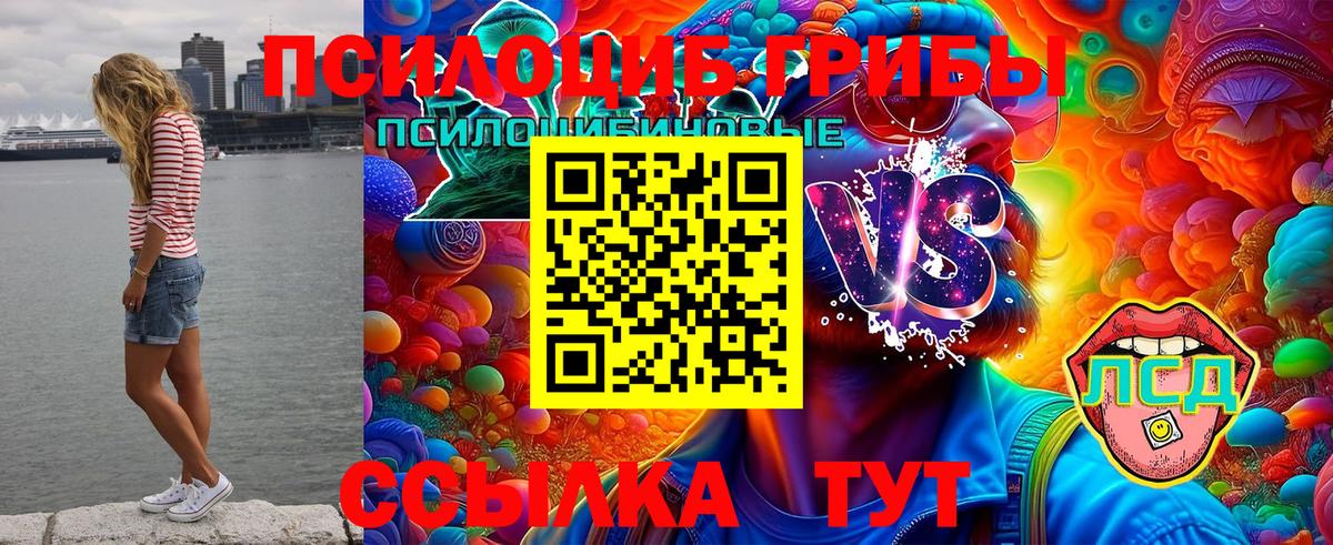 Галлюциногенные грибы Psilocybe Кувандык
